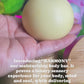 Harmony - Solid Moisturizing & Firming Body Bar